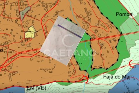 Terra a Arco da Calheta, Madeira, Arco da Calheta - € 1.850.000 | Ref: 3294 - foto 17