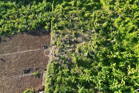 Terra a Arco da Calheta, Madeira, Arco da Calheta - € 1.850.000 | Ref: 3294 - foto 18