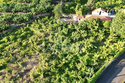 Terra a Arco da Calheta, Madeira, Arco da Calheta - € 1.850.000 | Ref: 3294 - foto 19