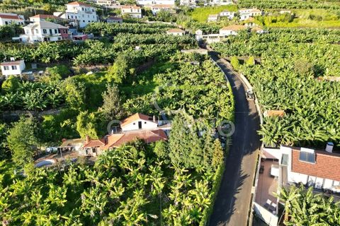 Terra a Arco da Calheta, Madeira, Arco da Calheta - € 1.850.000 | Ref: 3294 - foto 20