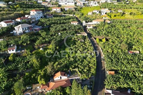 Terra a Arco da Calheta, Madeira, Arco da Calheta - € 1.850.000 | Ref: 3294 - foto 21