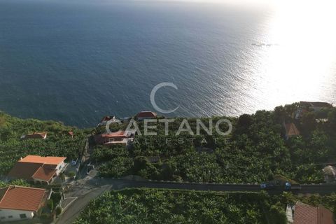 Terra a Arco da Calheta, Madeira, Arco da Calheta - € 1.850.000 | Ref: 3294 - foto 22