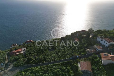 Terra a Arco da Calheta, Madeira, Arco da Calheta - € 1.850.000 | Ref: 3294 - foto 23