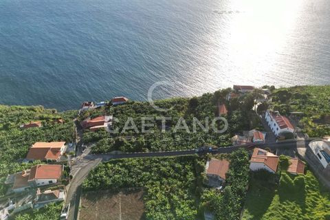 Terra a Arco da Calheta, Madeira, Arco da Calheta - € 1.850.000 | Ref: 3294 - foto 24