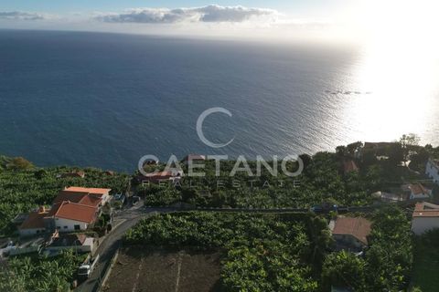 Terra a Arco da Calheta, Madeira, Arco da Calheta - € 1.850.000 | Ref: 3294 - foto 25