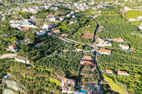 Terra a Arco da Calheta, Madeira, Arco da Calheta - € 1.850.000 | Ref: 3294 - foto 26