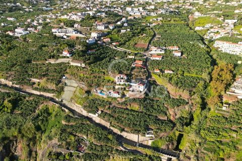 Terra a Arco da Calheta, Madeira, Arco da Calheta - € 1.850.000 | Ref: 3294 - foto 27