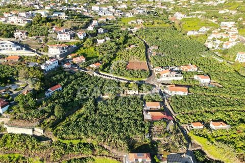 Terra a Arco da Calheta, Madeira, Arco da Calheta - € 1.850.000 | Ref: 3294 - foto 28