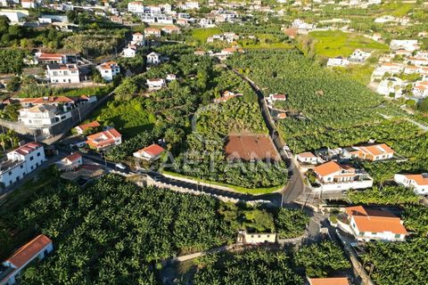 Terra a Arco da Calheta, Madeira, Arco da Calheta - € 1.850.000 | Ref: 3294 - foto 29