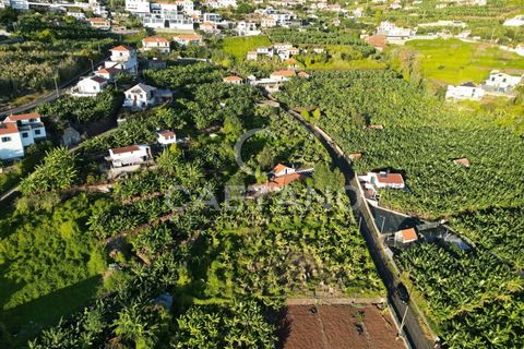 Terra a Arco da Calheta, Madeira, Arco da Calheta - € 1.850.000 | Ref: 3294 - foto 30