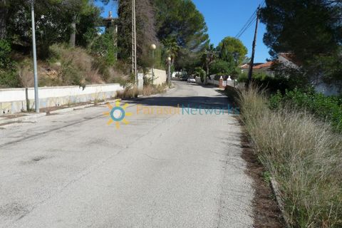 Helårsgrund i Oliva, Valencia, Oliva - € 110.000 | Ref: PNPT182  - foto 4