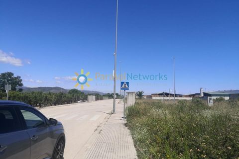 Tomt i Daimus, Valencia, Daimus - € 120 000 | Ref: PNPT0026 - foto 2