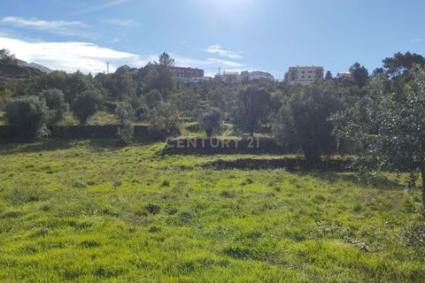 Helårsgrund i Belmonte, Castelo Branco, Belmonte - € 250.000 | Ref: C0429-00419 - foto 2