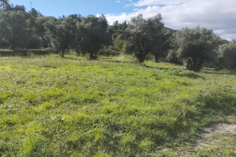 Helårsgrund i Belmonte, Castelo Branco, Belmonte - € 250.000 | Ref: C0429-00419 - foto 6