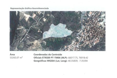 Helårsgrund i Belmonte, Castelo Branco, Belmonte - € 250.000 | Ref: C0429-00419 - foto 9