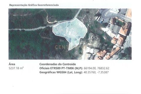 Helårsgrund i Belmonte, Castelo Branco, Belmonte - € 250.000 | Ref: C0429-00419 - foto 10