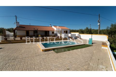 Farm i Moura, Beja, Moura - € 750.000 | Ref: QuintaBeja_007/26 - foto 3