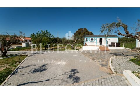 Farm i Moura, Beja, Moura - € 750.000 | Ref: QuintaBeja_007/26 - foto 4