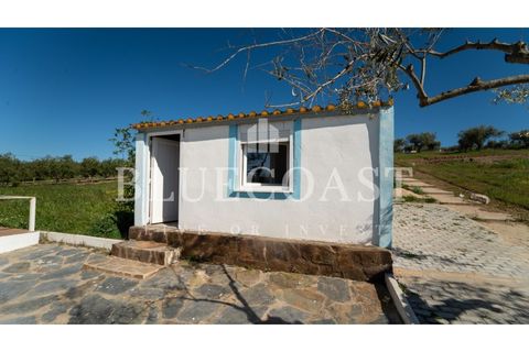 Farm i Moura, Beja, Moura - € 750.000 | Ref: QuintaBeja_007/26 - foto 5