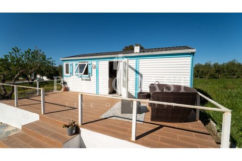 Farm i Moura, Beja, Moura - € 750.000 | Ref: QuintaBeja_007/26 - foto 6