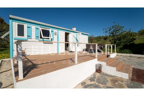 Farm i Moura, Beja, Moura - € 750.000 | Ref: QuintaBeja_007/26 - foto 7