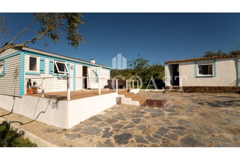 Farm i Moura, Beja, Moura - € 750.000 | Ref: QuintaBeja_007/26 - foto 8