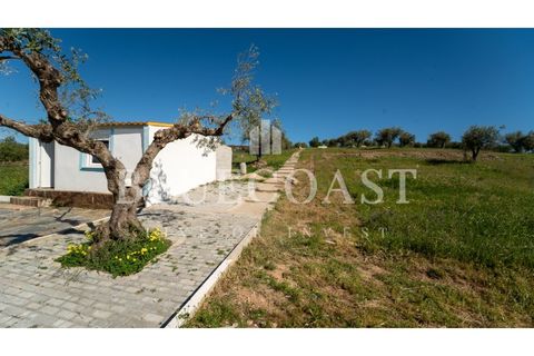 Farm i Moura, Beja, Moura - € 750.000 | Ref: QuintaBeja_007/26 - foto 9