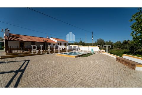 Farm i Moura, Beja, Moura - € 750.000 | Ref: QuintaBeja_007/26 - foto 11