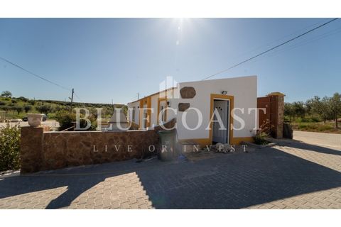 Farm i Moura, Beja, Moura - € 750.000 | Ref: QuintaBeja_007/26 - foto 16