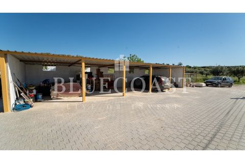 Farm i Moura, Beja, Moura - € 750.000 | Ref: QuintaBeja_007/26 - foto 20