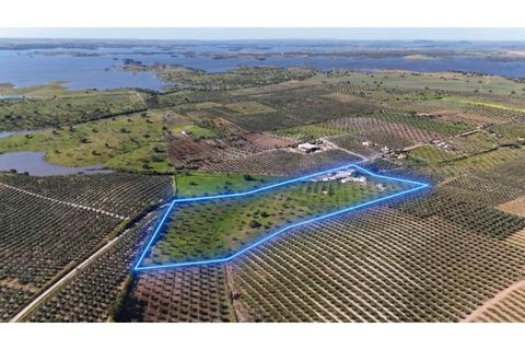 Farm i Moura, Beja, Moura - € 750.000 | Ref: QuintaBeja_007/26 - foto 23