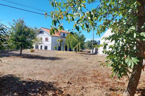 Villa i Pinzio, Guarda, Pinzio - € 179.900 | Ref: HAB_130 - foto 4