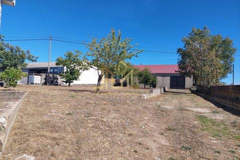 Villa i Pinzio, Guarda, Pinzio - € 179.900 | Ref: HAB_130 - foto 6