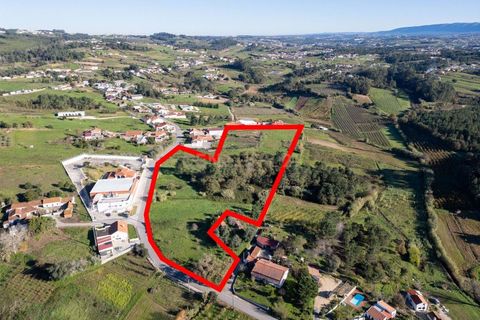 Helårsgrund i Alcobaca, Leiria, Alcobaca - € 135.000 | Ref: 0563-01883 - foto 1
