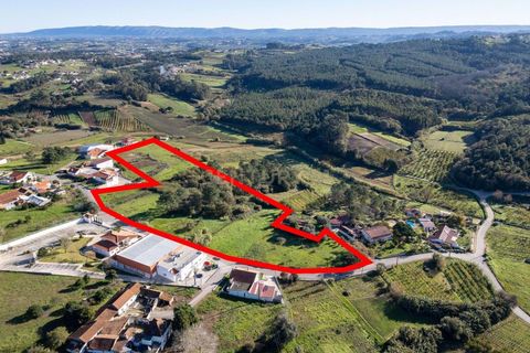 Helårsgrund i Alcobaca, Leiria, Alcobaca - € 135.000 | Ref: 0563-01883 - foto 2