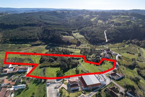 Helårsgrund i Alcobaca, Leiria, Alcobaca - € 135.000 | Ref: 0563-01883 - foto 3