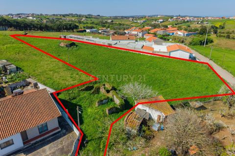 Villa i Alcobaca, Leiria, Alcobaca - € 69.000 | Ref: 0563-01884 - foto 2