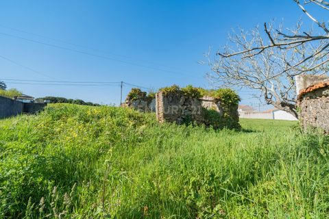 Villa i Alcobaca, Leiria, Alcobaca - € 69.000 | Ref: 0563-01884 - foto 3