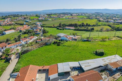 Villa i Alcobaca, Leiria, Alcobaca - € 69.000 | Ref: 0563-01884 - foto 7