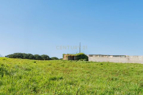 Villa i Alcobaca, Leiria, Alcobaca - € 69.000 | Ref: 0563-01884 - foto 11