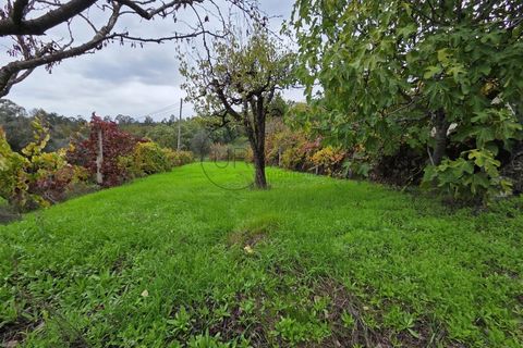 Villa a Vouzela, Viseu, Vouzela - € 223.000 | Ref: 0186 - foto 23