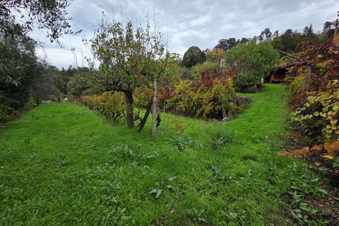 Villa a Vouzela, Viseu, Vouzela - € 223.000 | Ref: 0186 - foto 24