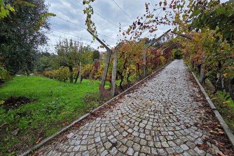 Villa a Vouzela, Viseu, Vouzela - € 223.000 | Ref: 0186 - foto 26