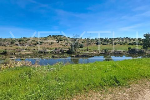 Villa i Moura, Beja, Moura - € 140.000 | Ref: MOR_117 - foto 50