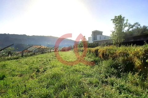 Helårsgrund i Viana do Castelo, Viana do Castelo, Viana do Castelo - € 100.000 | Ref: TER_1488 - foto 1