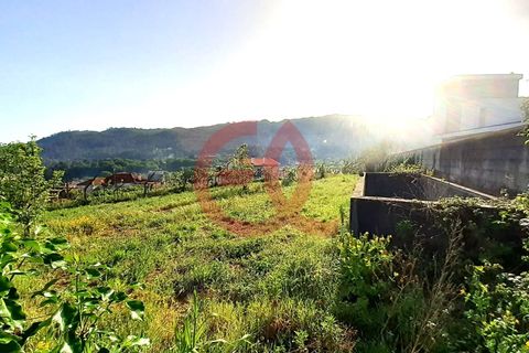 Helårsgrund i Viana do Castelo, Viana do Castelo, Viana do Castelo - € 100.000 | Ref: TER_1488 - foto 4