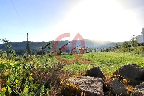 Helårsgrund i Viana do Castelo, Viana do Castelo, Viana do Castelo - € 100.000 | Ref: TER_1488 - foto 6