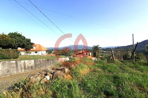 Helårsgrund i Viana do Castelo, Viana do Castelo, Viana do Castelo - € 100.000 | Ref: TER_1488 - foto 7
