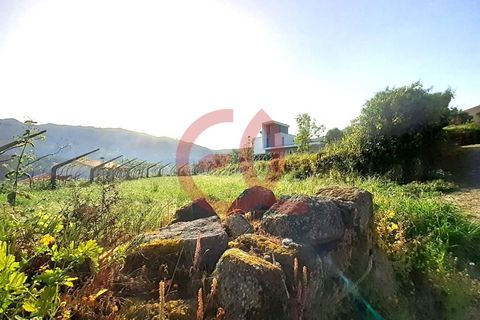 Helårsgrund i Viana do Castelo, Viana do Castelo, Viana do Castelo - € 100.000 | Ref: TER_1488 - foto 8