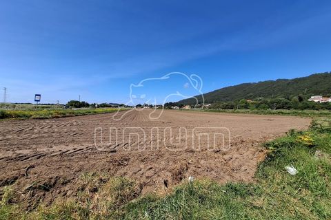 Helårsgrund i Viana do Castelo, Viana do Castelo, Viana do Castelo - € 400.000 | Ref: R5510 - foto 2